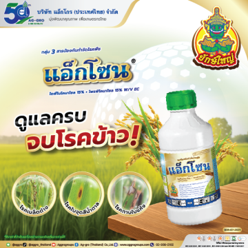 แอ็กโซน